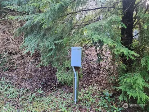 54 Robin Ln, Pacific Beach, WA 98571 photo 9