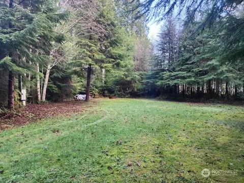 54 Robin Ln, Pacific Beach, WA 98571 photo 11
