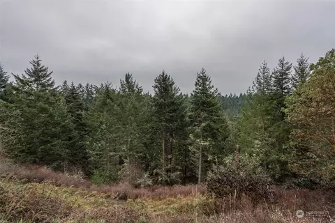 211 Brittany Ln, Sequim, WA 98382 photo 29