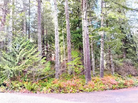 78 Fir Park Ln, Packwood, WA 98361