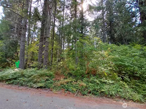 78 Fir Park Ln, Packwood, WA 98361