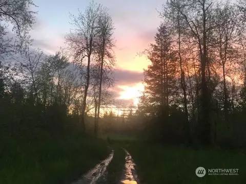 36514 48th Ave S, Roy, WA 98580 photo 6