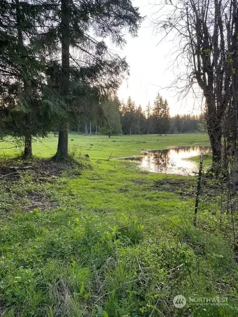 36514 48th Ave S, Roy, WA 98580