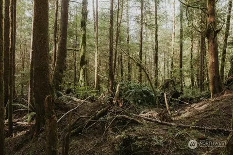 9999 Mora Rd, Forks, WA 98331 photo 3