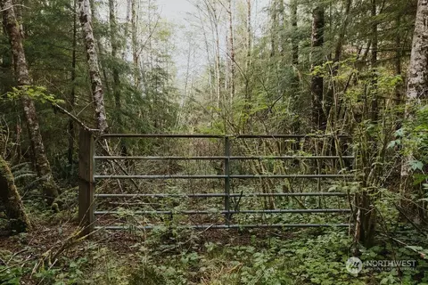 9999 Mora Rd, Forks, WA 98331 photo 5