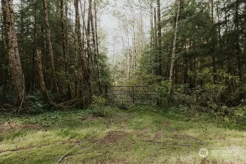 9999 Mora Rd, Forks, WA 98331 photo 6