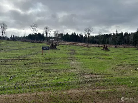 238 Ash Mountain Dr, Castle Rock, WA 98611