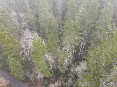 0 Pine Tree Rd, Toledo, WA 98591
