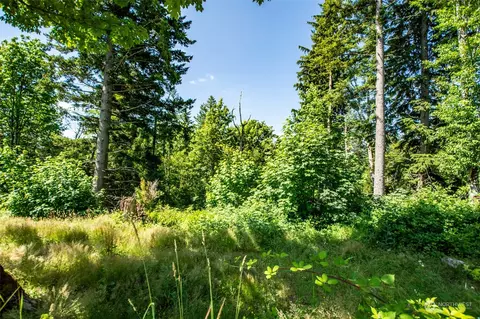 98 Nn 351st Ave SE, Snoqualmie, WA 98065