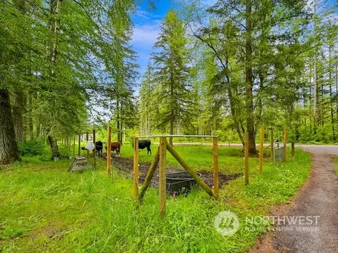 8759 Kendall Rd, Maple Falls, WA 98266 photo 8