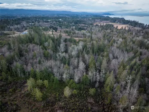 9999 Bobcat Hollow Rd, Port Angeles, WA 98362