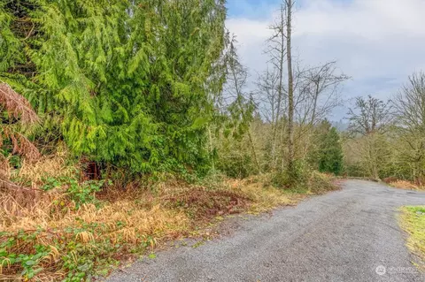 0 Olson Rd, Longview, WA 98632 photo 3