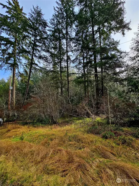 2590 E Mason Lake Rd, Shelton, WA 98584