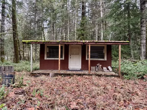 57011 387th Avenue Ct E, Ashford, WA 98304