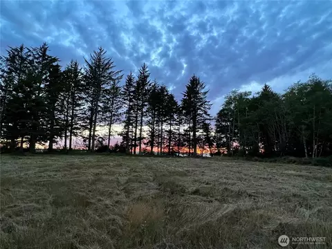 63 Ranta Rd, Bay Center, WA 98527