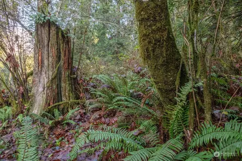 12173 SW Cedarhurst Rd, Vashon, WA 98070