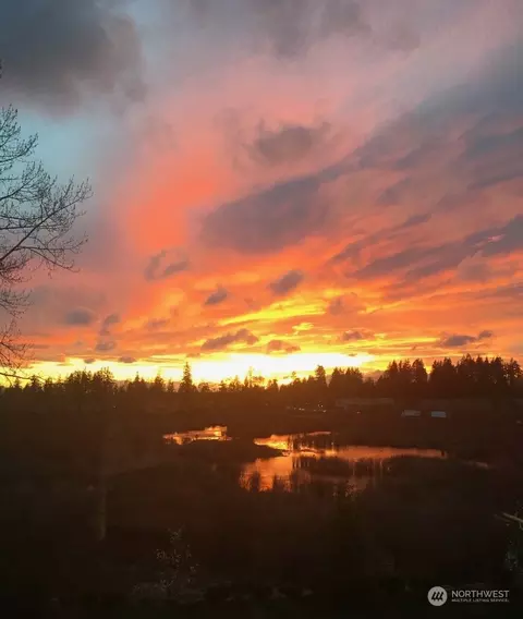 View/Area - 18118 40th Dr SE, Bothell, WA 98012 photo 5 of 5