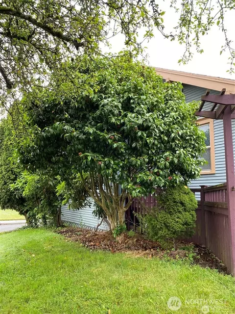 2608 23rd St, Everett, WA 98201 photo 8