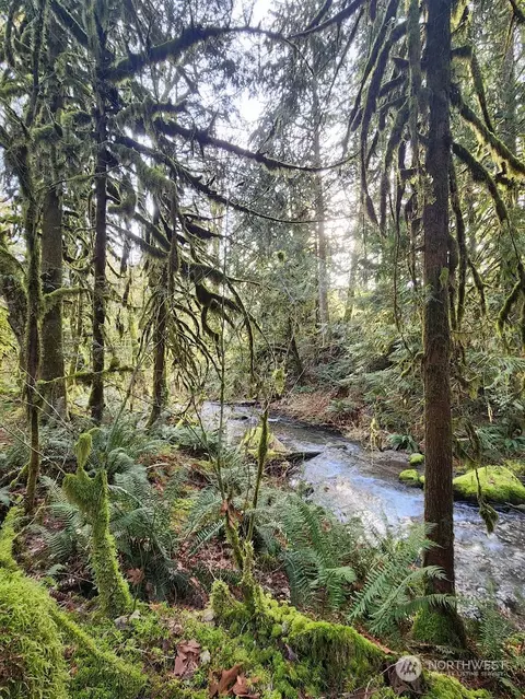 6858 Silver Lake Rd, Deming, WA 98244