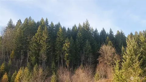 0 Lot 4 Old Skate Creek Rd, Packwood, WA 98361