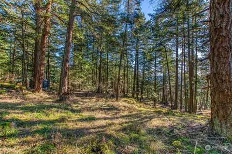 0 Veneda Trl, Orcas Island, WA 98245