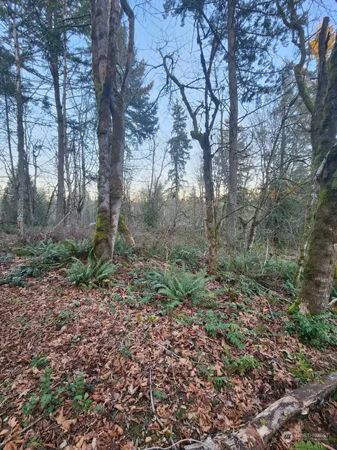 23509 140th Ave E, Graham, WA 98338