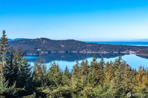 493 Shadow Rd, Eastsound, WA 98245 photo 36