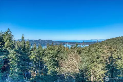 493 Shadow Rd, Eastsound, WA 98245 photo 37