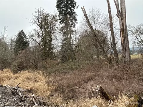 24 Nn Howard Ave, Centralia, WA 98531