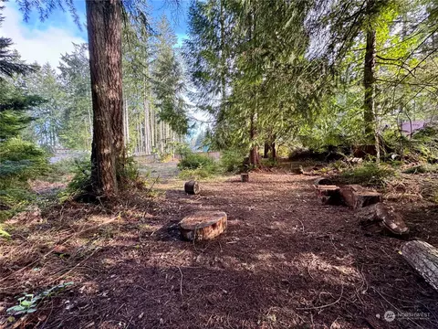 10123 Lake Florence Pl, Anderson Island, WA 98303