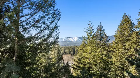 101 Tom Wright Rd, Ronald, WA 98940 photo 37
