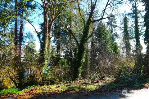124 Nn Cunliffe Rd SW, Vashon, WA 98070