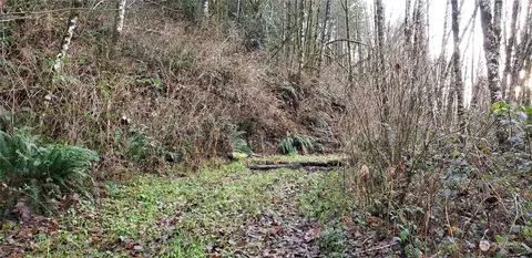 0 131xx Mountain Loop Hwy, Granite Falls, WA 98252