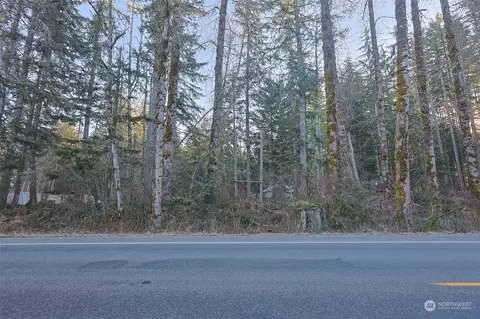56104 Kernahan Rd E, Ashford, WA 98304