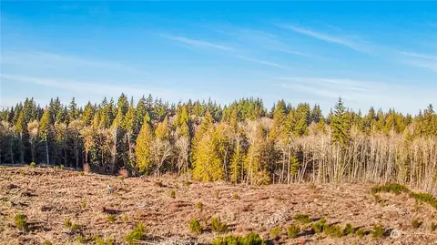 0 E Libby Rd, Shelton, WA 98584