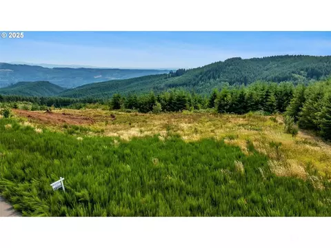 118 High Bank Ln, Woodland, WA 98674
