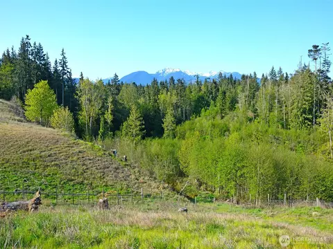 1000 Lemmon Rd, Port Angeles, WA 98362