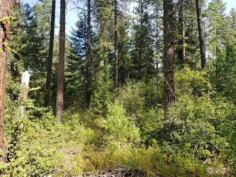 0 NE Kissin Tree Ln, Tahuya, WA 98588