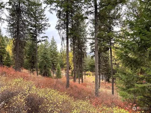 0 Tbd Old Kettle Falls Rd, Republic, WA 99166