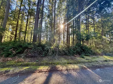 11208 Juniper Pl, Anderson Island, WA 98303