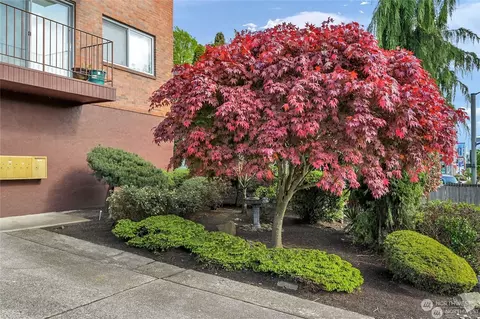 Exterior - 2619 Rucker Ave #7, Everett, WA 98201 photo 2 of 5