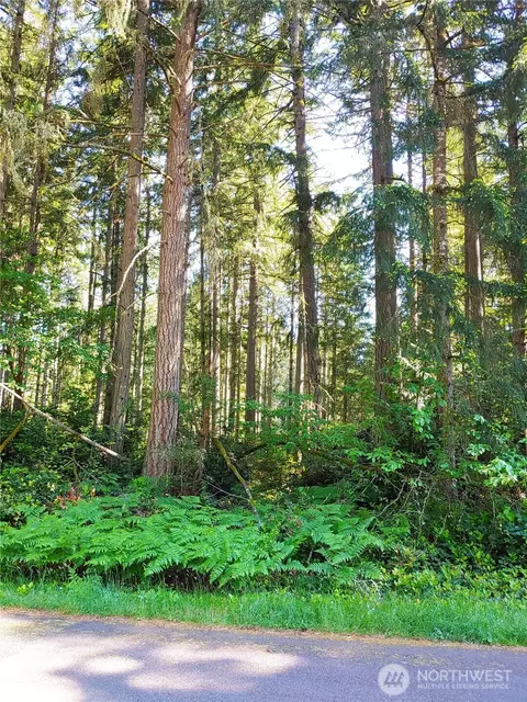 11203 Juniper Pl, Anderson Island, WA 98303