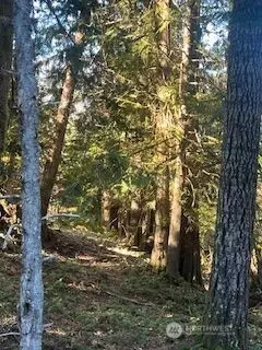 60 Forest Ridge Dr, Packwood, WA 98361