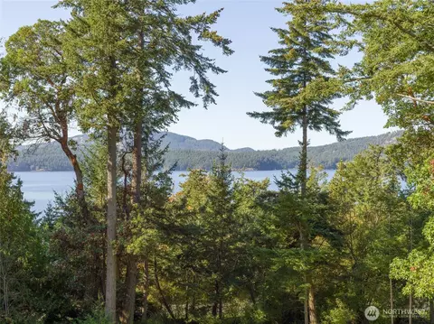 94 Thistle Ln, Eastsound, WA 98245 photo 35