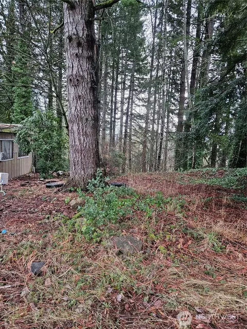 321 NE Barbara Blvd, Belfair, WA 98528