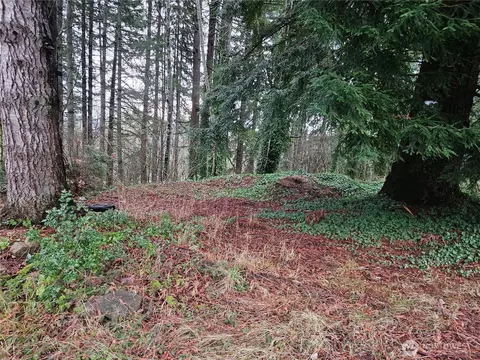 323 NE Barbara Blvd, Belfair, WA 98528