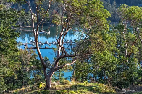 83 B Vue Du Port Ln, Eastsound, WA 98245