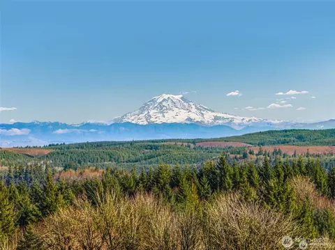 306 Dax Spur Lot Only Rd #RD, Castle Rock, WA 98611