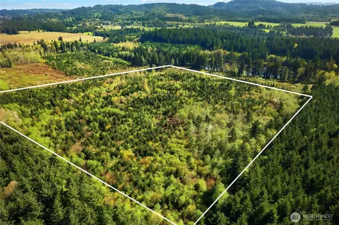 0 40 Acres 185th Ave SE, Tenino, WA 98589