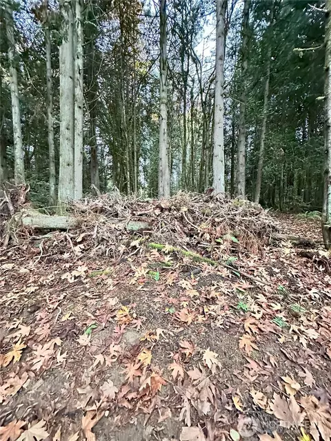0 Vacant Land, Port Orchard, WA 98366